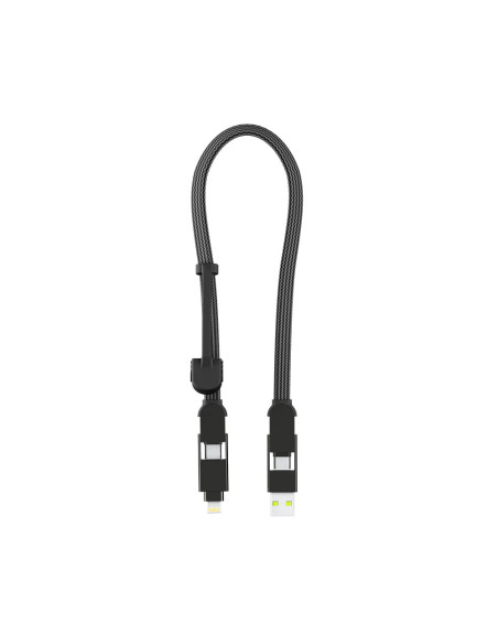 InCharge XL 30cm USB cable